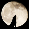 The Full Moon In Cancer January 18, 2022