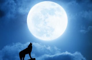 The Full Moon In Leo ♌️, January 25th, 2024
