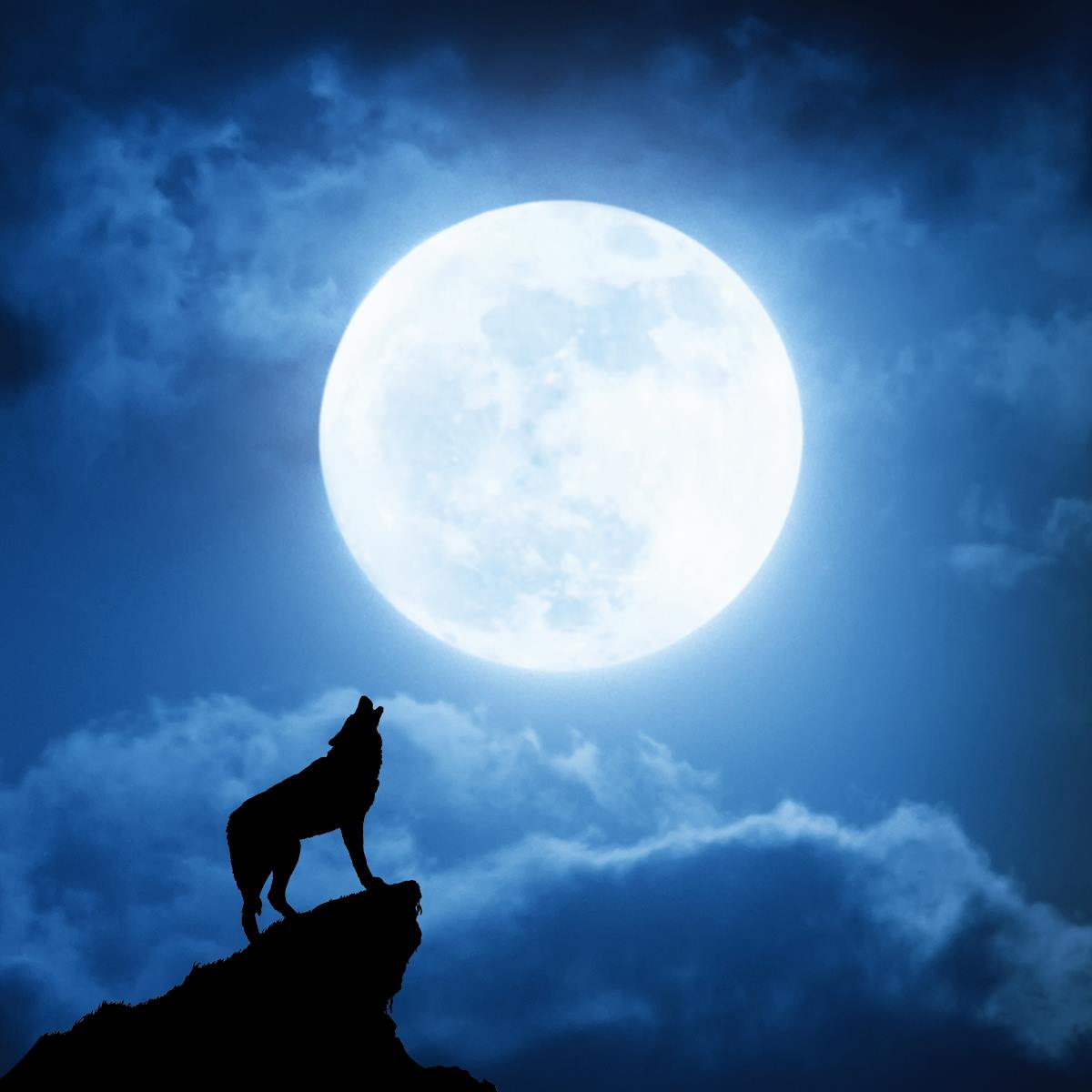 The Full Moon In Leo ♌️, January 25th, 2024