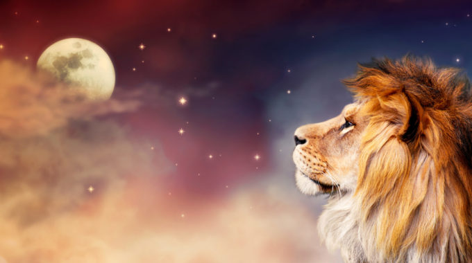 The Full Moon 🌕 In Leo ♌️ Of February 12, 2025