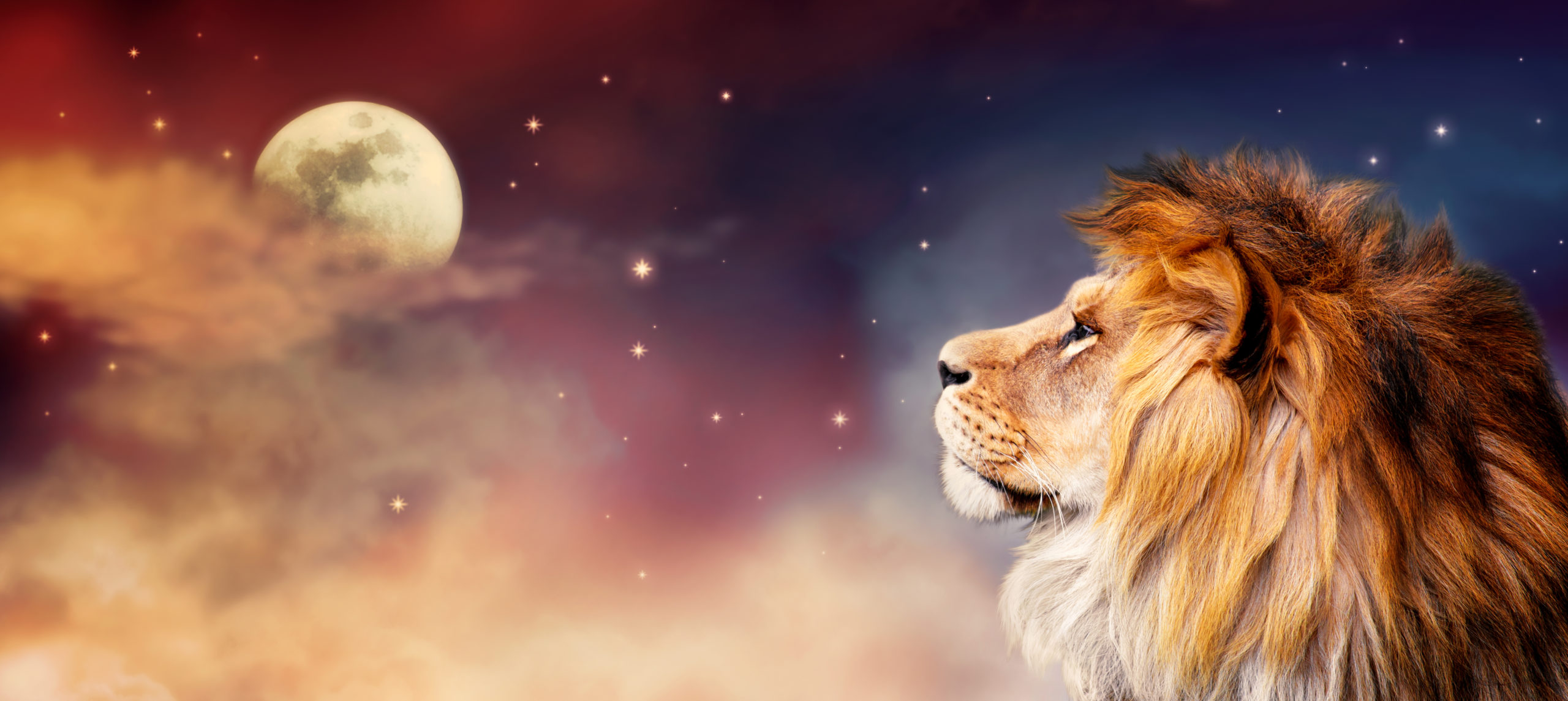 The Full Moon 🌕 In Leo ♌️ Of February 12, 2025