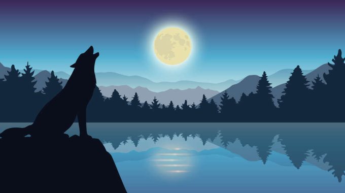 8801 VM 2 1 26 Kreeft 1311132944