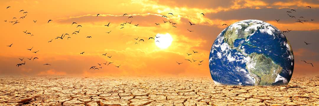 8901JANUARI 2026 _2627750345